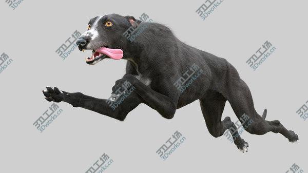 images/goods_img/20210312/3D Greyhound (3) (Fur) (Rigged)/1.jpg